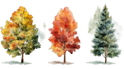 Three stylized trees showcasing vibrant autumn colors, with varying foliage representing different seasonal hues.