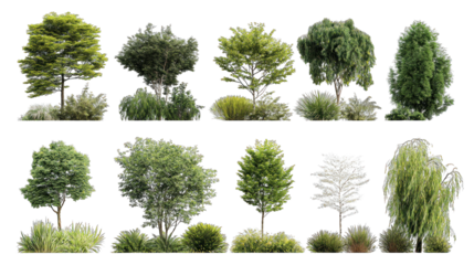 A collection of diverse trees showcasing various shapes, sizes, and foliage, illustrating the beauty of nature's greenery.
