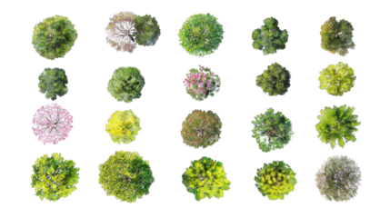 A diverse collection of various shrub-like plants showcasing different shapes, colors, and textures.