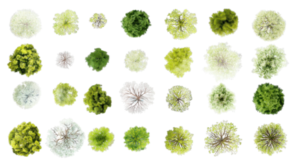 A collection of various trees showcasing diverse shapes and colors, ideal for graphic use and nature-themed projects.