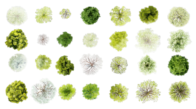 A collection of various trees showcasing diverse shapes and colors, ideal for graphic use and nature-themed projects.