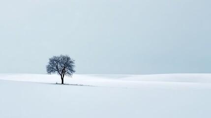 Minimalist winter landscape featuring a solitary tree in a snow-covered field under an overcast sky