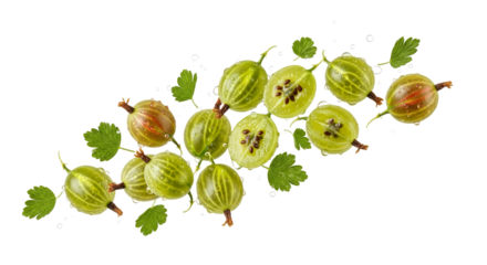 Sparkling gooseberries with leaves on white background displaying vibrant green and contrasting brown tones creating a fresh natural vibe