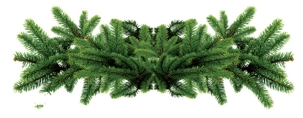 Lush symmetrical evergreen fir branch garland with dense green needles for festive decoration. © Kay