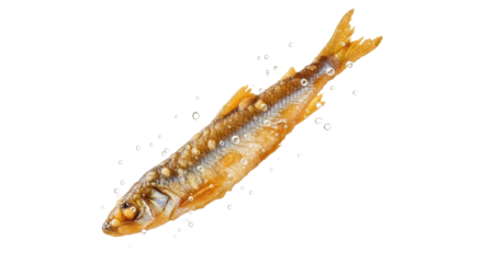 Crispy fried smelt levitating in a stream of tiny bubbles against a pristine white backdrop ideal for culinary presentations or product packaging