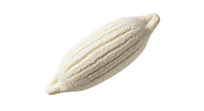 Close-up Isolated Image Depicting Durum Wheat Pasta, Shaped like an Elongated Shell on a Plain Backdrop