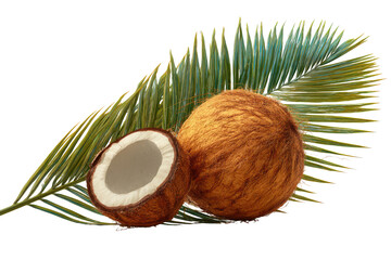 Whole and halved coconut with green palm frond on black background tropical fruit, Isolated On Transparent Background, Png Cut Out