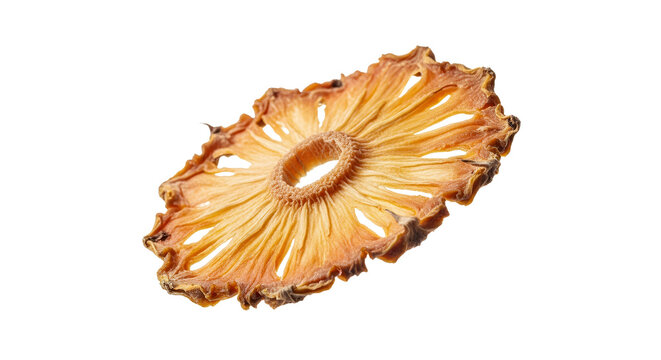 Dehydrated pineapple slice showcasing golden hues and radial pattern against a stark white backdrop offering a close-up view of its dried texture