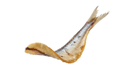 Crispy Fried Sprat Tail Isolated on White Background showcasing Culinary Delights and Seafood Presentation for Creative Food Photography and