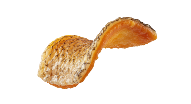 Dehydrated squash curl exhibiting vibrant orange hues and unique skin texture on a plain background, creating an artistic food still life