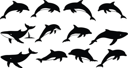 Set of sea mammal silhouettes, including playful dolphins and killer whales, depicting aquatic animals, marine life, and ocean wildlife vector illustration graphics.