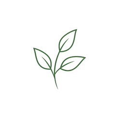 Fototapeta premium Minimalist Green Leaf Outline on Transparent Background Simple Botanical Icon Elegant Nature Element Clean Design Representing Growth and Freshness
