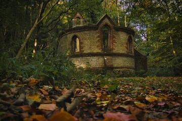 Abandoned building in the woods