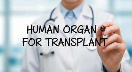 Medical professional writing 'human organ for transplant' for healthcare concept.