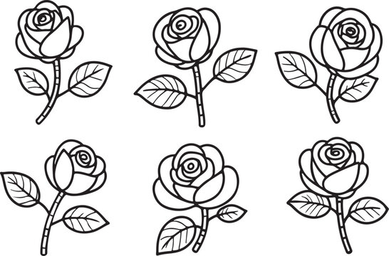 Six rose sketch vectors. Minimal six floral line art collection