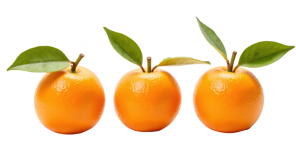 Fresh oranges with vibrant color and green leaves create delightful display of citrus fruit. Perfect for healthy snacks or juice