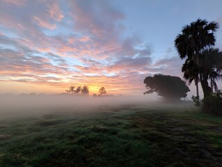 Serene Dawn Across Whispering Meadows and Trees