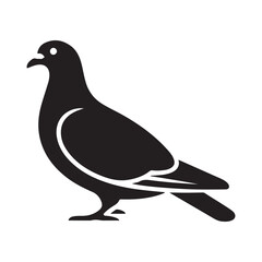 Pigeon Vector 