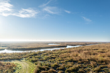 Panoramic view from Roerdump observation tower over Oostvaardersplassen national park on a winter morning, Netherlands