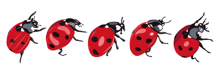 Ladybug insect red and black color. Summer bugs. Meadow insects. Ladybird illustration. Set of red ladybirds isolated on white. Can be used in different ways of design, appearance, cover, decoration