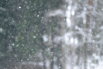Macro-style image showing soft, falling snowflakes in focus with a blurred snowy forest background, creating a dreamy winter scene.