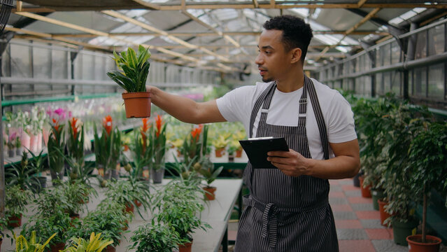 Person holding a plant while recording details in a greenhouse filled with various plants in vibrant green colors and blooming flowers
