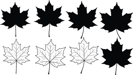 Stylized Black Maple Leaf Icons and Outline Vector Drawing Collection, Detailed Hand-Drawn Silhouette Set for Canadian, Autumn, Fall, and Nature-Themed Projects