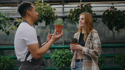 Man discusses care tips for small plants with a woman in a greenhouse surrounded by vibrant greenery during a bright afternoon