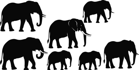 Vector Silhouette Set of Seven Elephants in Various Poses, African and Asian Wildlife, Large Mammal Icons, Black Animal Graphics Collection, Isolated on White
