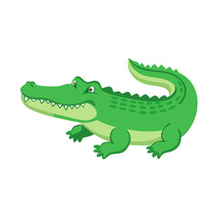 Alligator Illustrations: A Collection of Alligator Images.