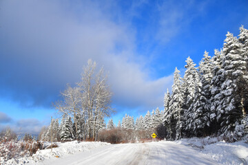 The northern rank in winter, Sainte-Apolline, Québec,  Canada