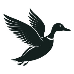 Obraz premium Stylized silhouette of a mallard duck in flight, wings spread wide, a classic symbol of nature and freedom, isolated graphic. isolated on white background, Vector, illustration