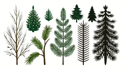 Fototapeta premium Collection of various evergreen and bare trees and pine branches