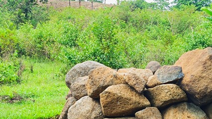 River stones and green bushes