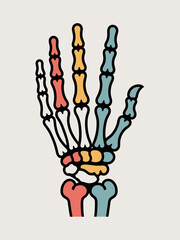 Colorful Skeletal Hand Illustration Medical Anatomy Artistic Bone Structure Human Hand Bones Decorative Modern Print