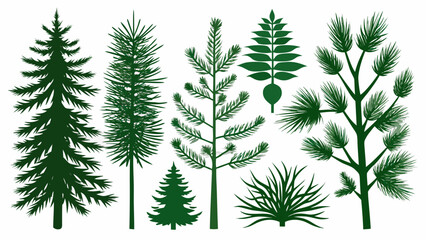 Collection of green pine tree silhouettes and foliage on white background