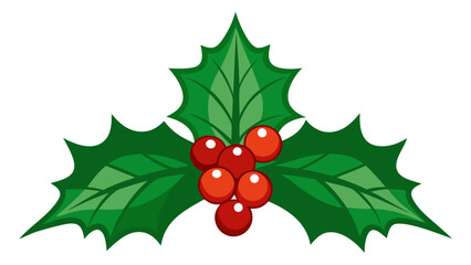 Christmas holly branch with red berries and green leaves