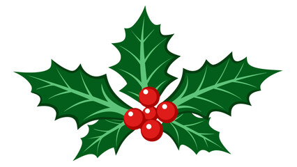Christmas holly leaves and red berries decoration