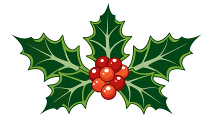 Christmas holly leaves and red berries decoration