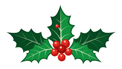 Traditional christmas holly sprig with red berries isolated on white