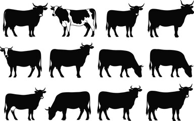 Set of cow silhouettes in various postures and breeds, including grazing, standing, horned cattle, and detailed black-and-white sketch