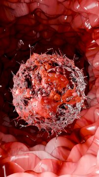 Neutrophiles type Leukocyte cell, phagocytosis, white blood cells in vein, Neutrophil, medical human health, destruction of the virus and microb infections, granulocytes, polymorphonuclears, 3d render