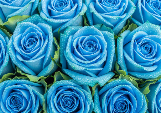 Beautiful blue roses symbolizing mystery peace and uniqueness in a lush bouquet arrangement - Powered by Adobe