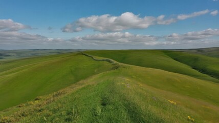 Fototapeta premium Rolling green hills under a cloudy blue sky in the countryside