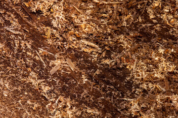 Close-up of wood chips and sawdust scattered over rough timber, showcasing rich brown tones and natural organic texture.