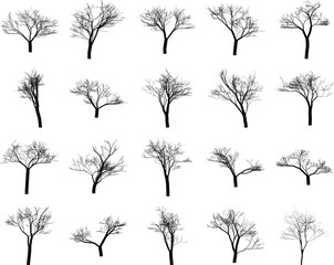 Obraz premium Set of 20 black and white vector illustrations depicting various bare, leafless deciduous trees and tree branches, showcasing intricate silhouettes suitable for graphic design