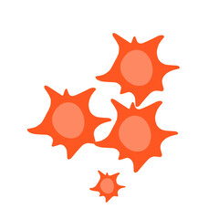 platelet cell vector