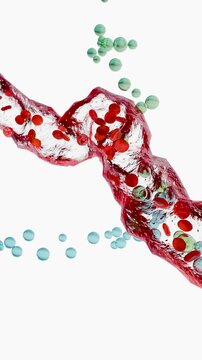 pituitary gland secretes follicle-stimulating hormone, or FSH, and luteinizing hormone, or LH, into the bloodstream. After these hormones reach the ovaries, Polycystic Ovary Syndrome, 3d render