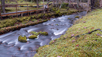 A long exposure view of water spilling over rapids, autumn landscape, November in nature, Ieriku mill, Latvia, fall