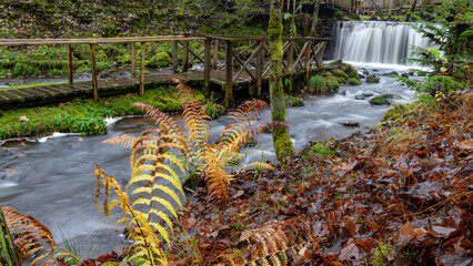 A long exposure view of water spilling over rapids, autumn landscape, November in nature, Ieriku mill, Latvia, fall